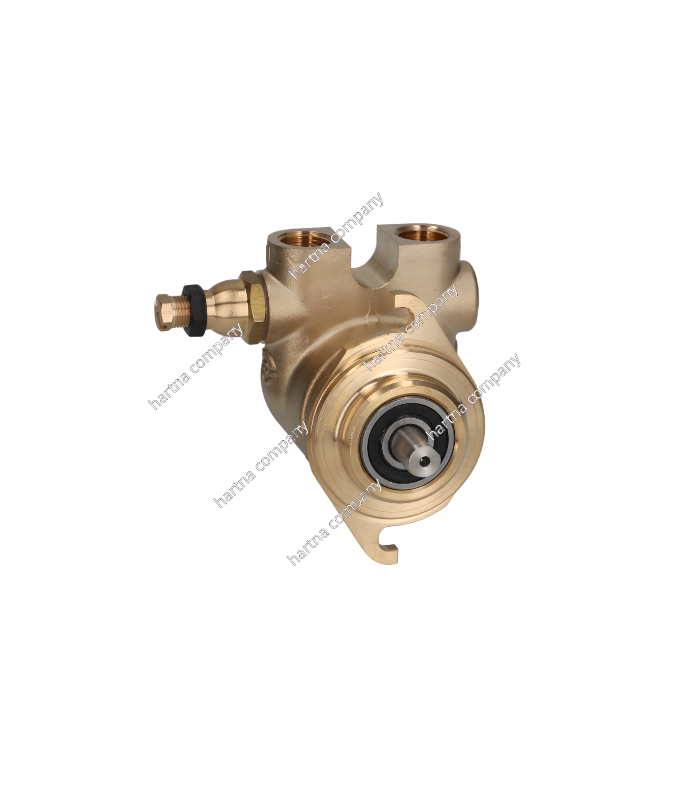 Rotary pump head for professional machines