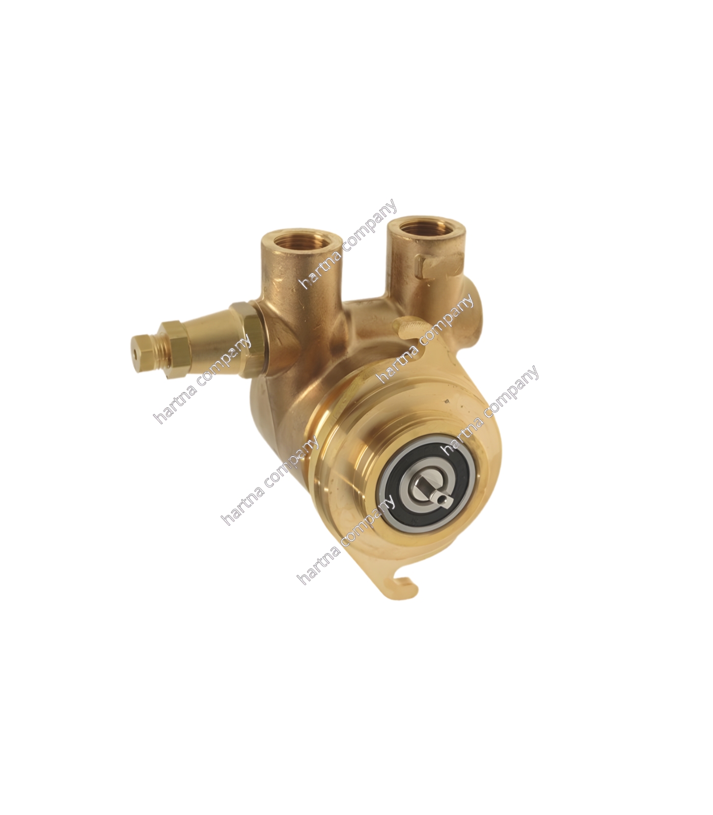 Rotary pump head for professional machines
